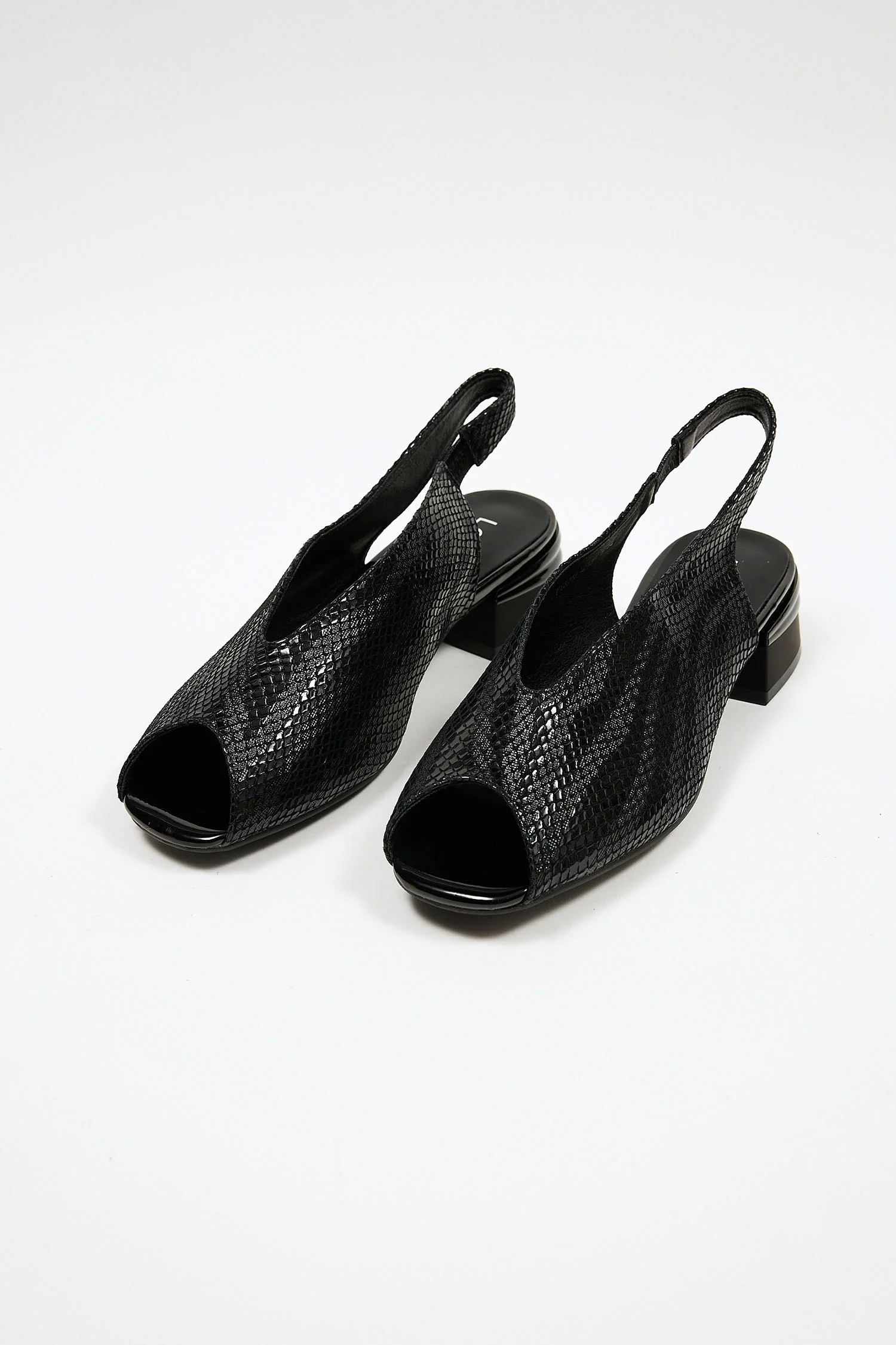 Amani Black - Image 2