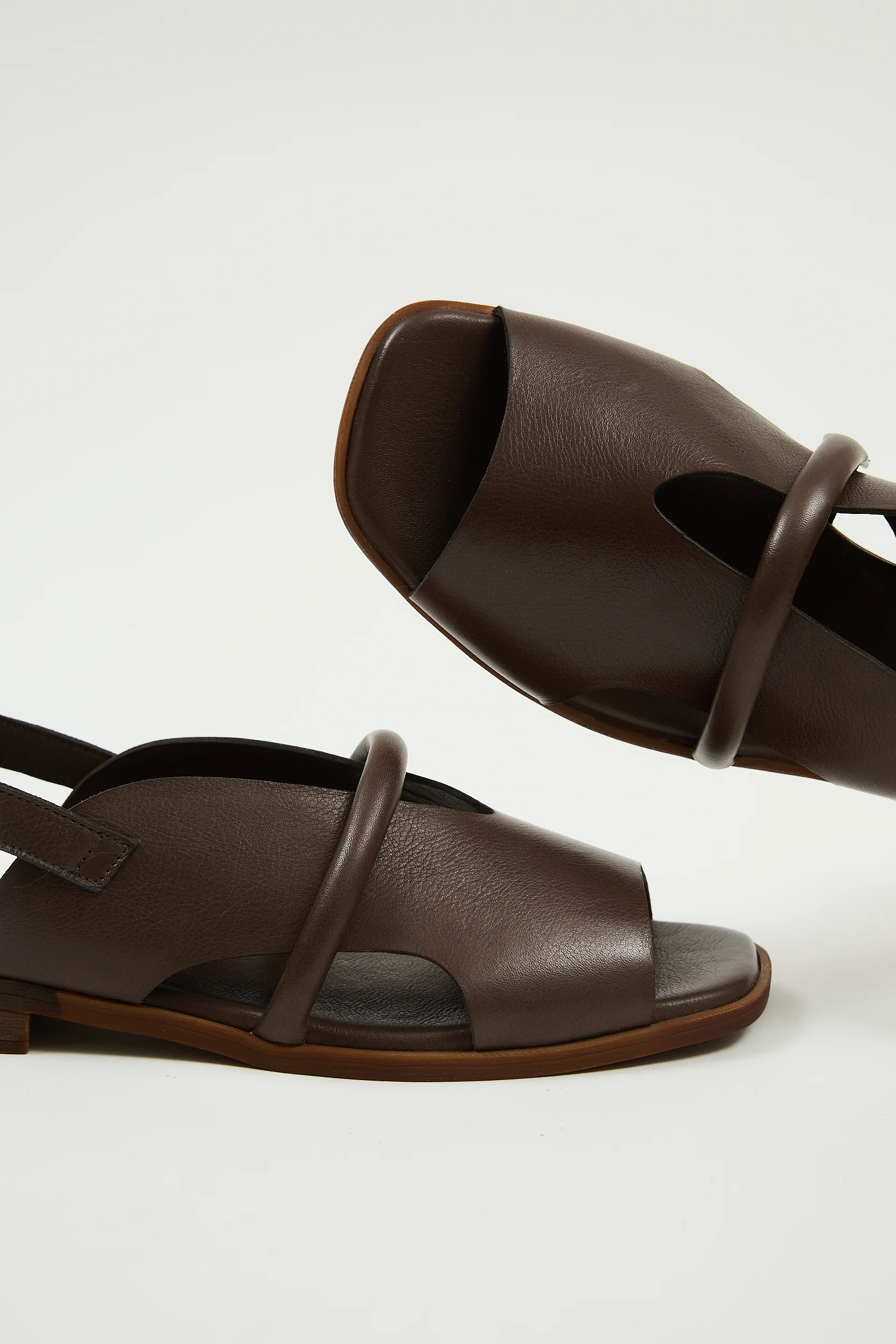 Bergen Brown - Image 13