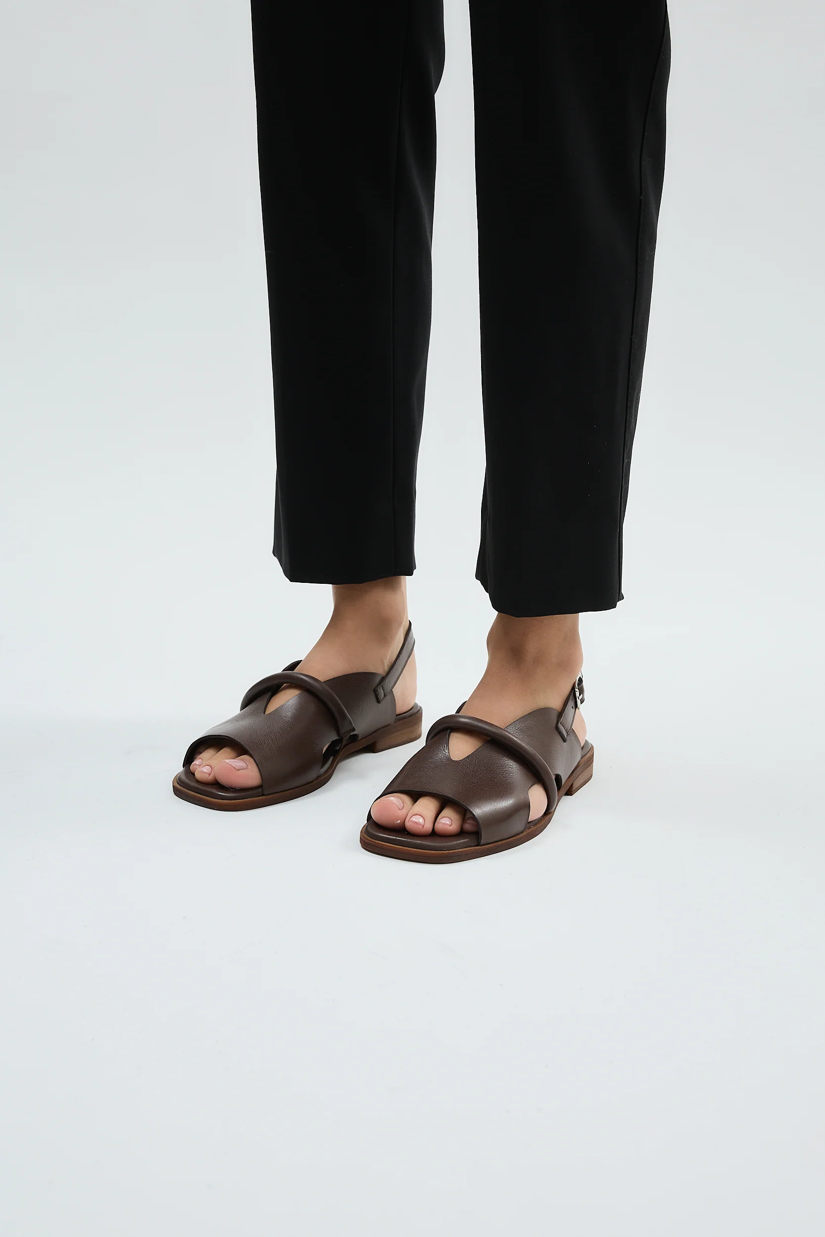 Bergen Brown - Image 14