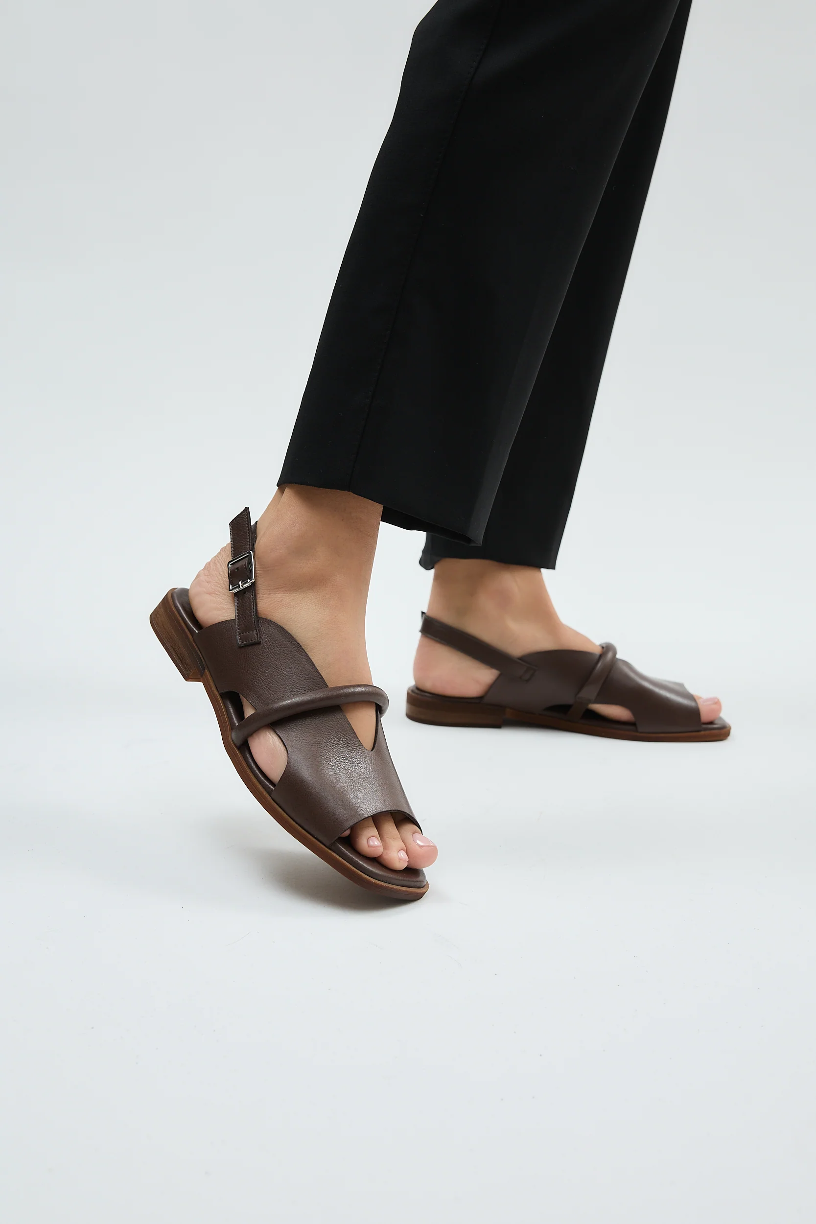 Bergen Brown - Image 15