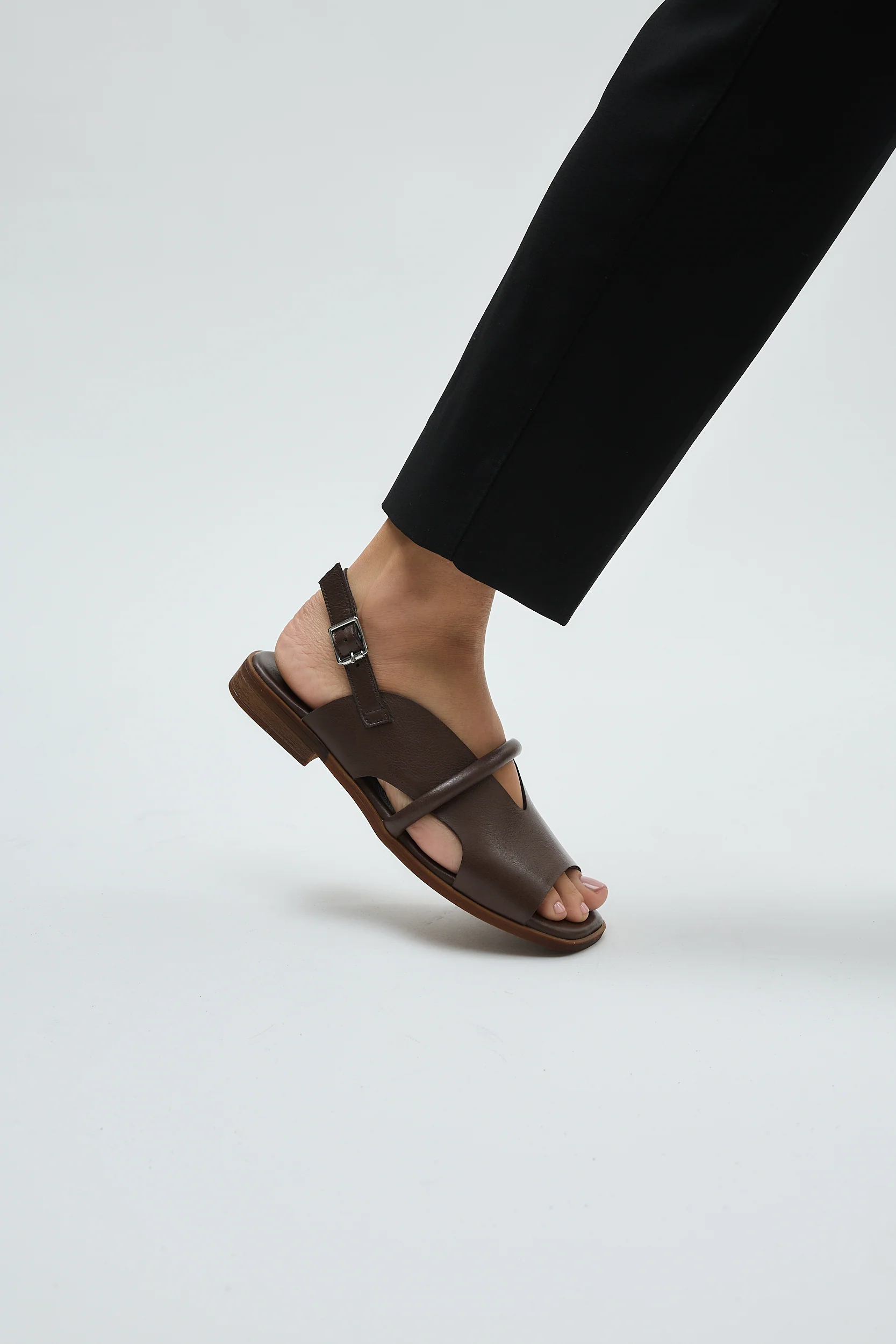 Bergen Brown - Image 16