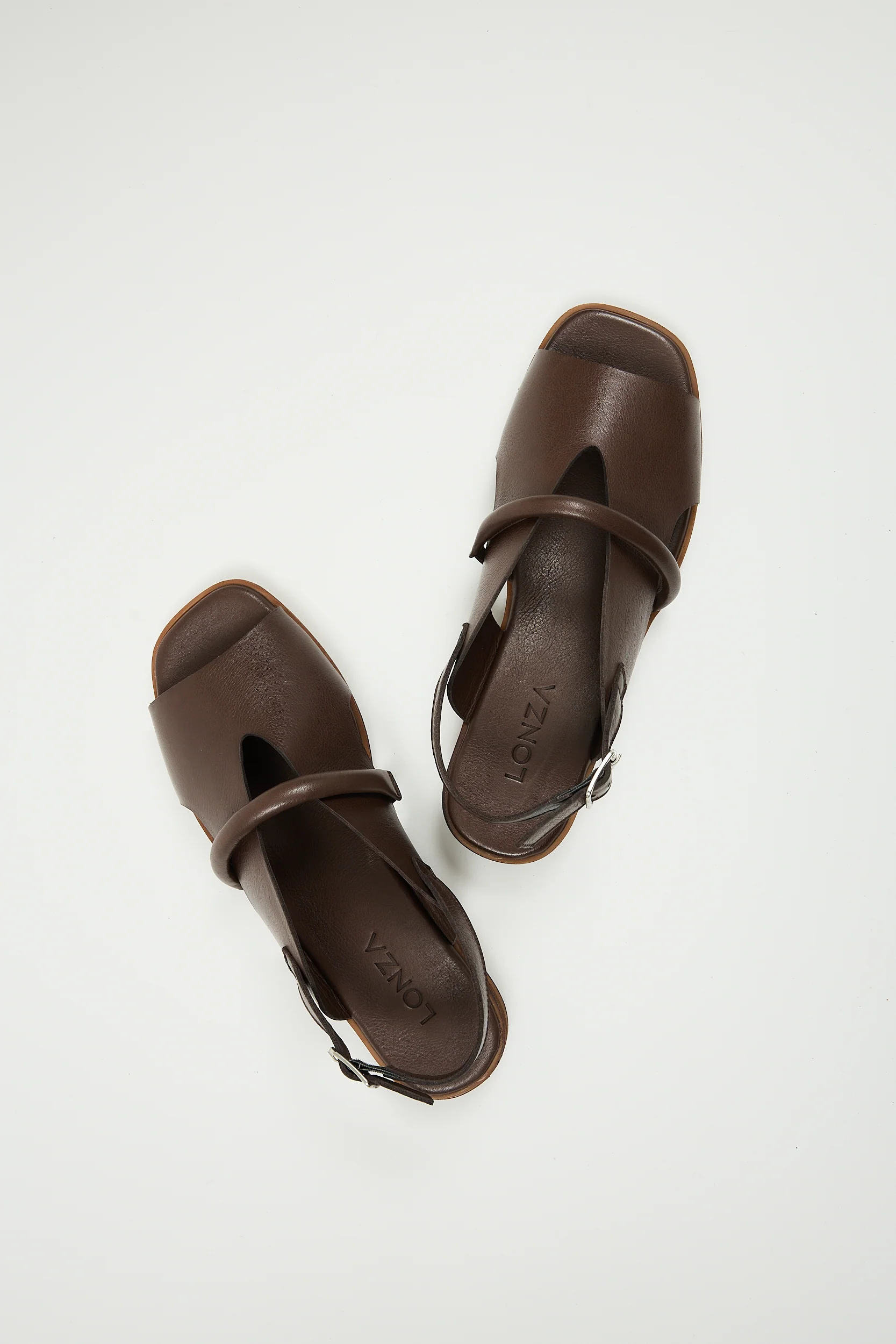Bergen Brown - Image 5