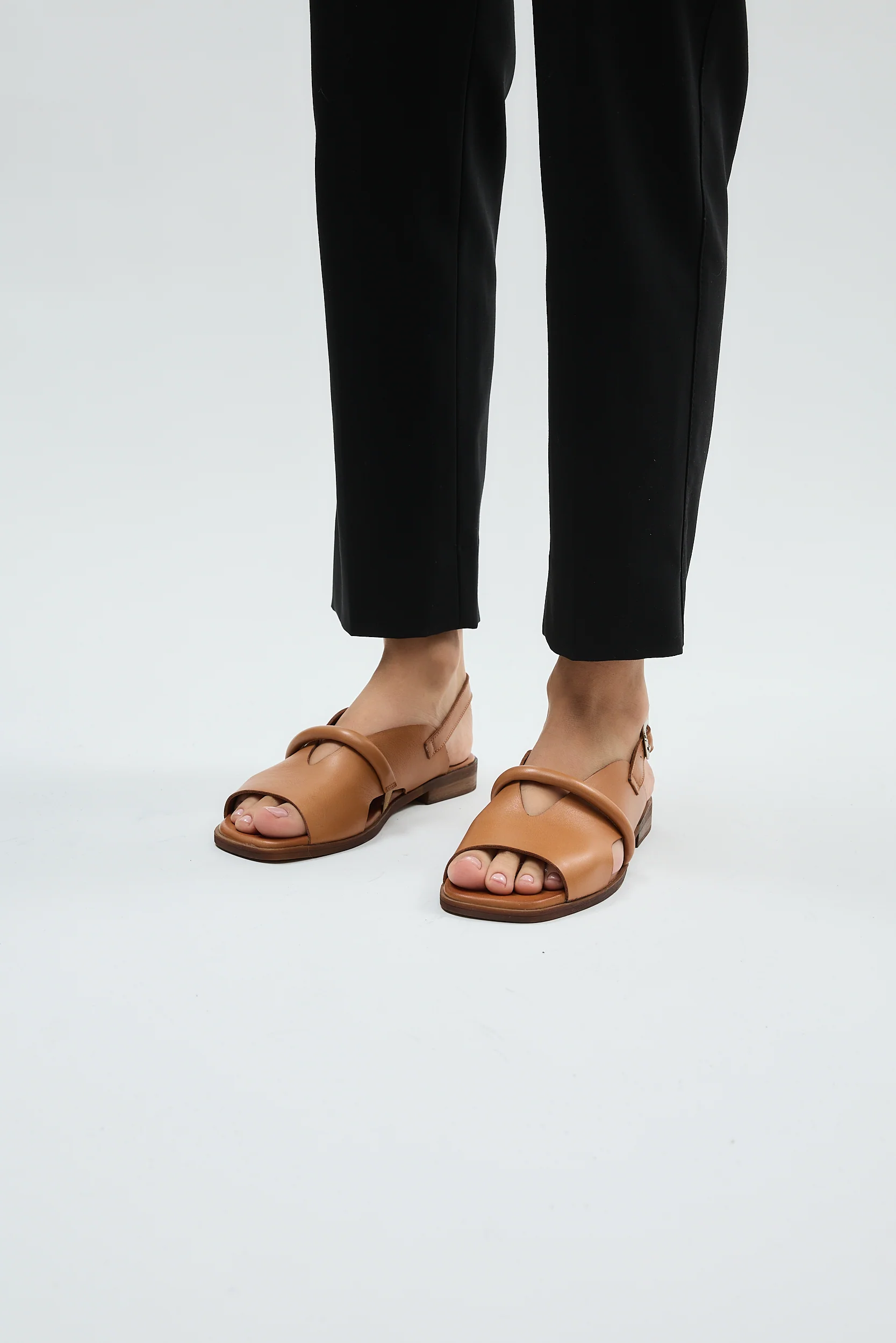 Bergen Coconut - Image 14