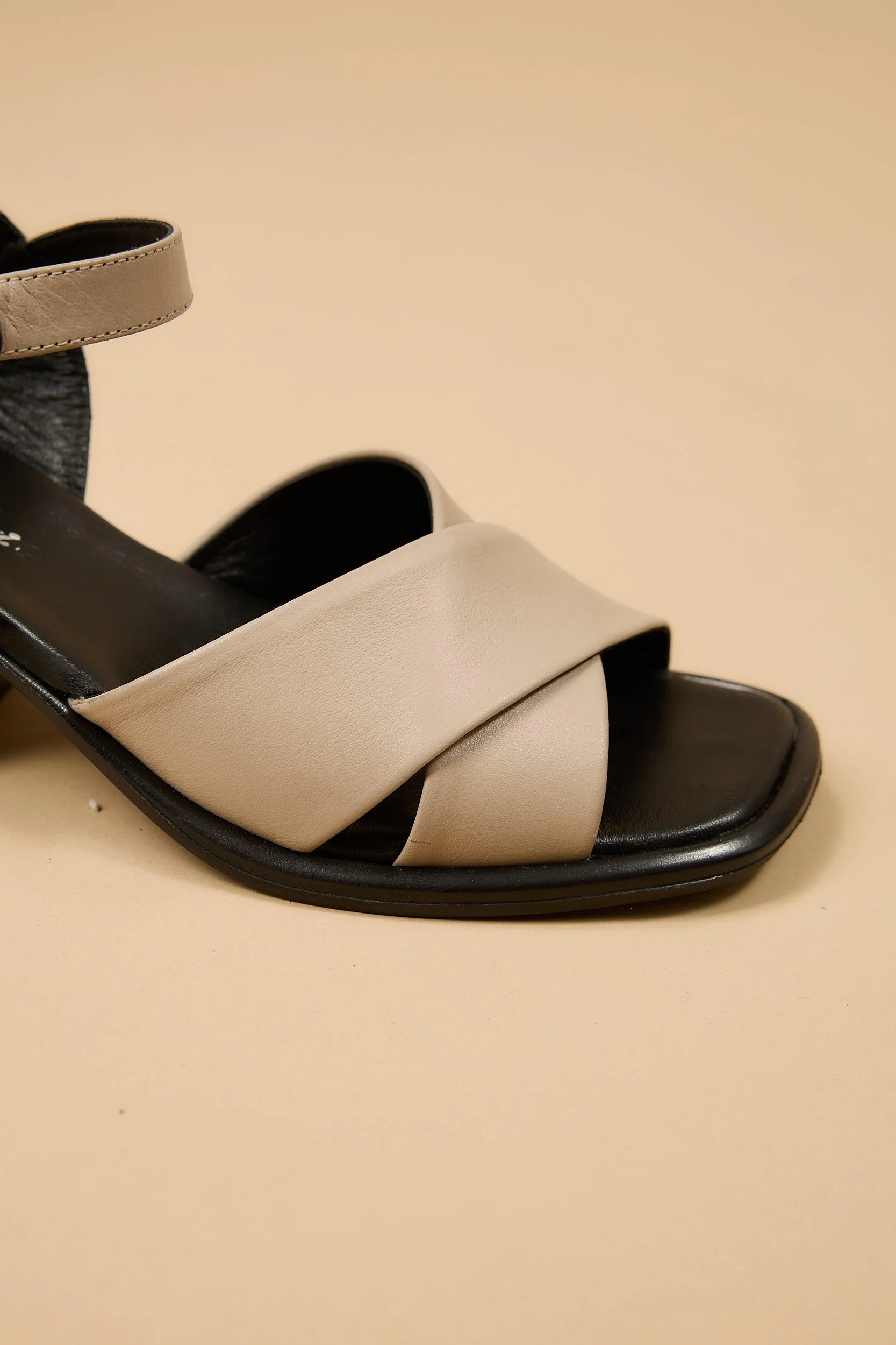 Daphne Beige - Image 10