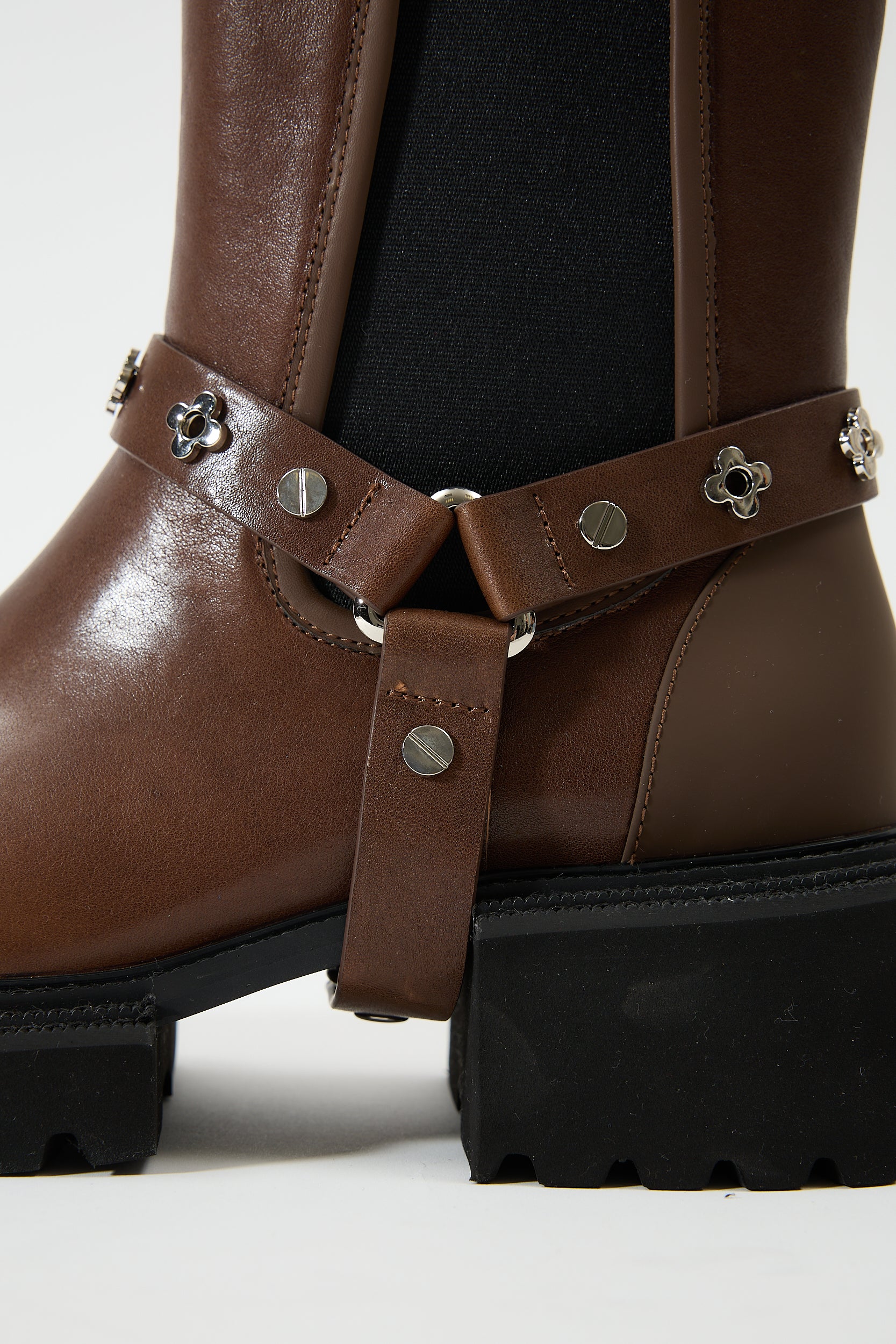Erato Brown - Image 4