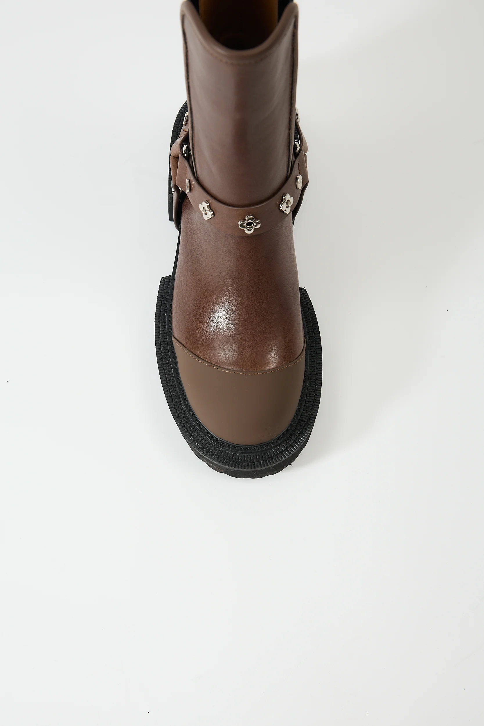 Erato Brown - Image 6
