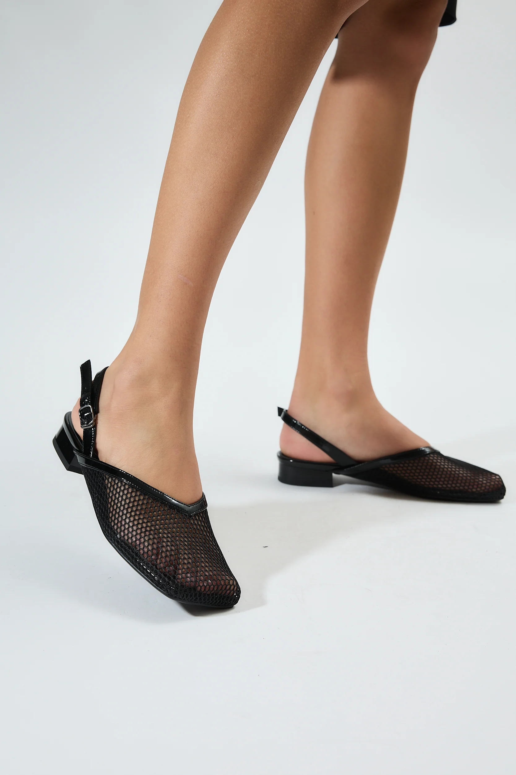 Galia Black - Image 15