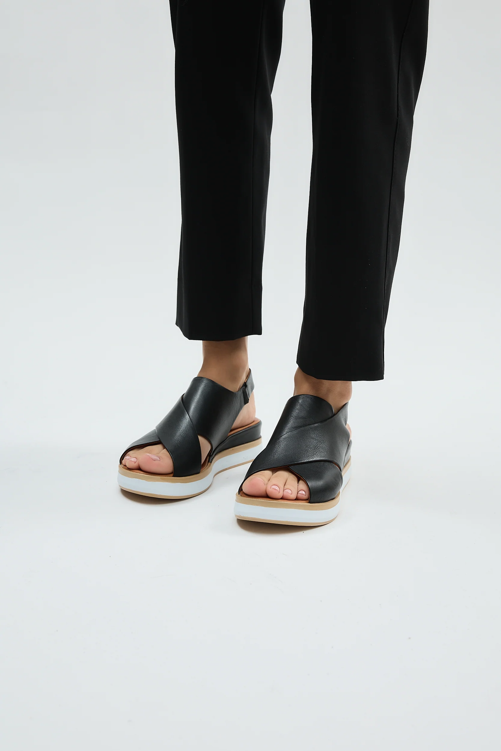 Maisie Black - Image 14