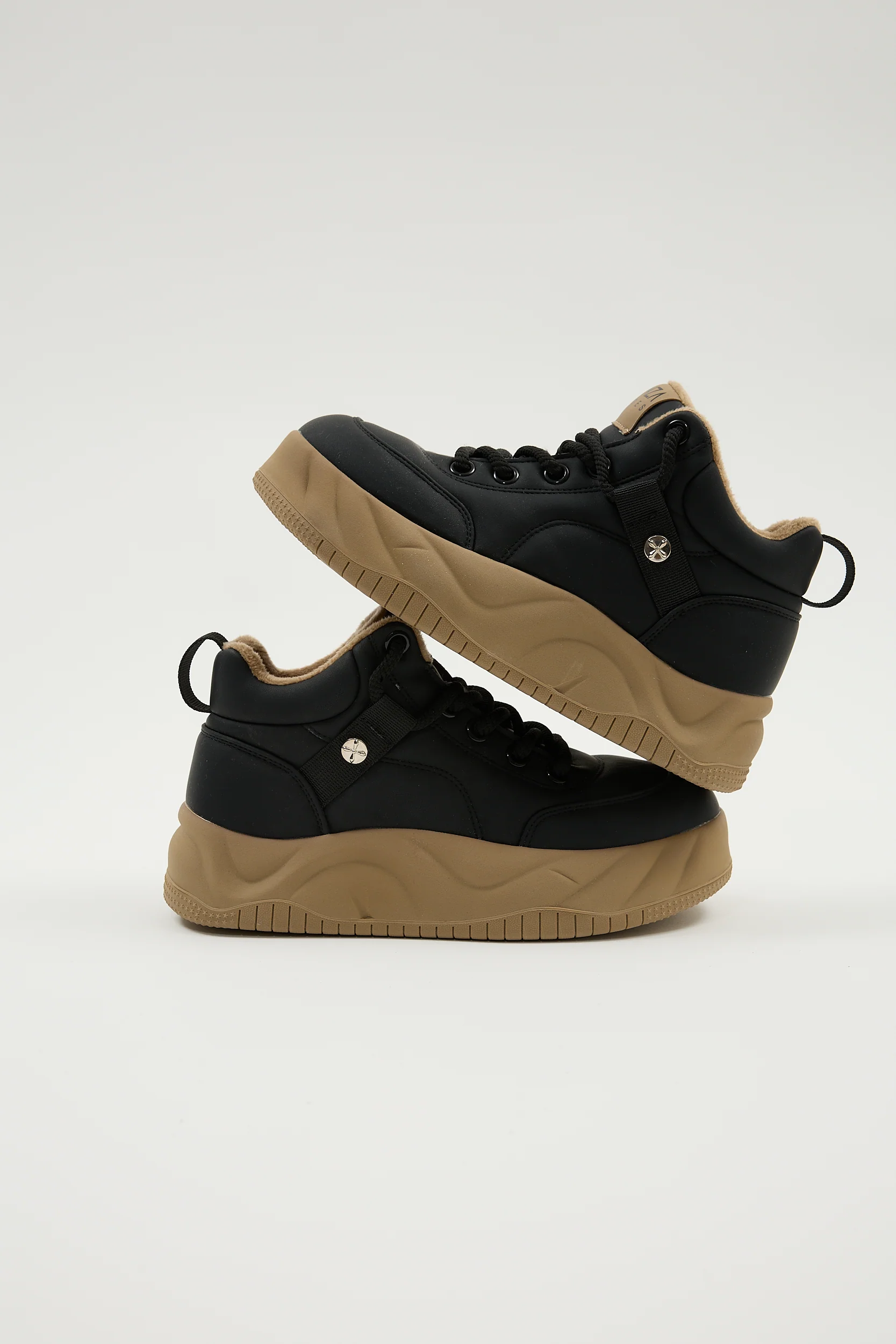 Obelia Black - Image 2