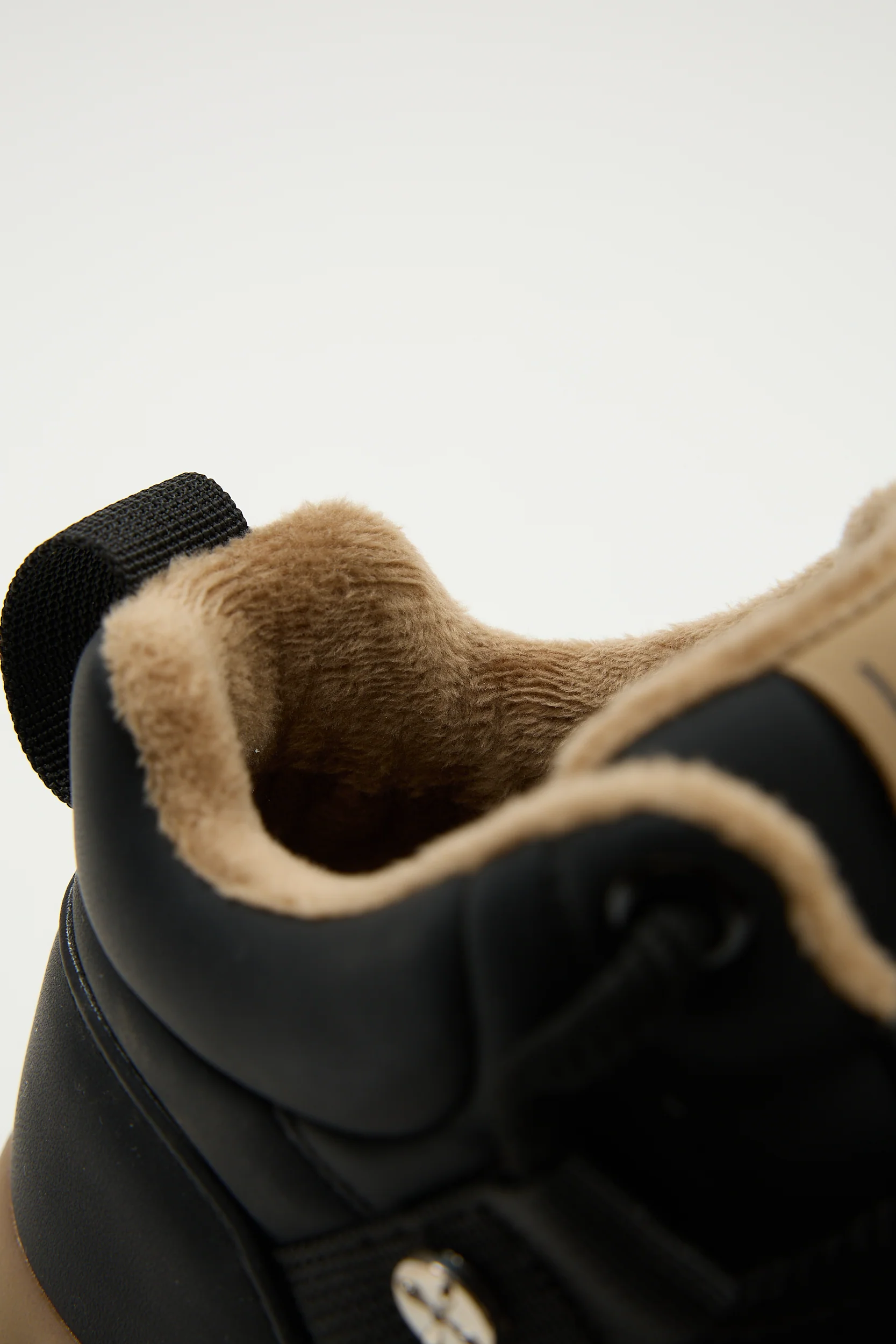 Obelia Black - Image 4