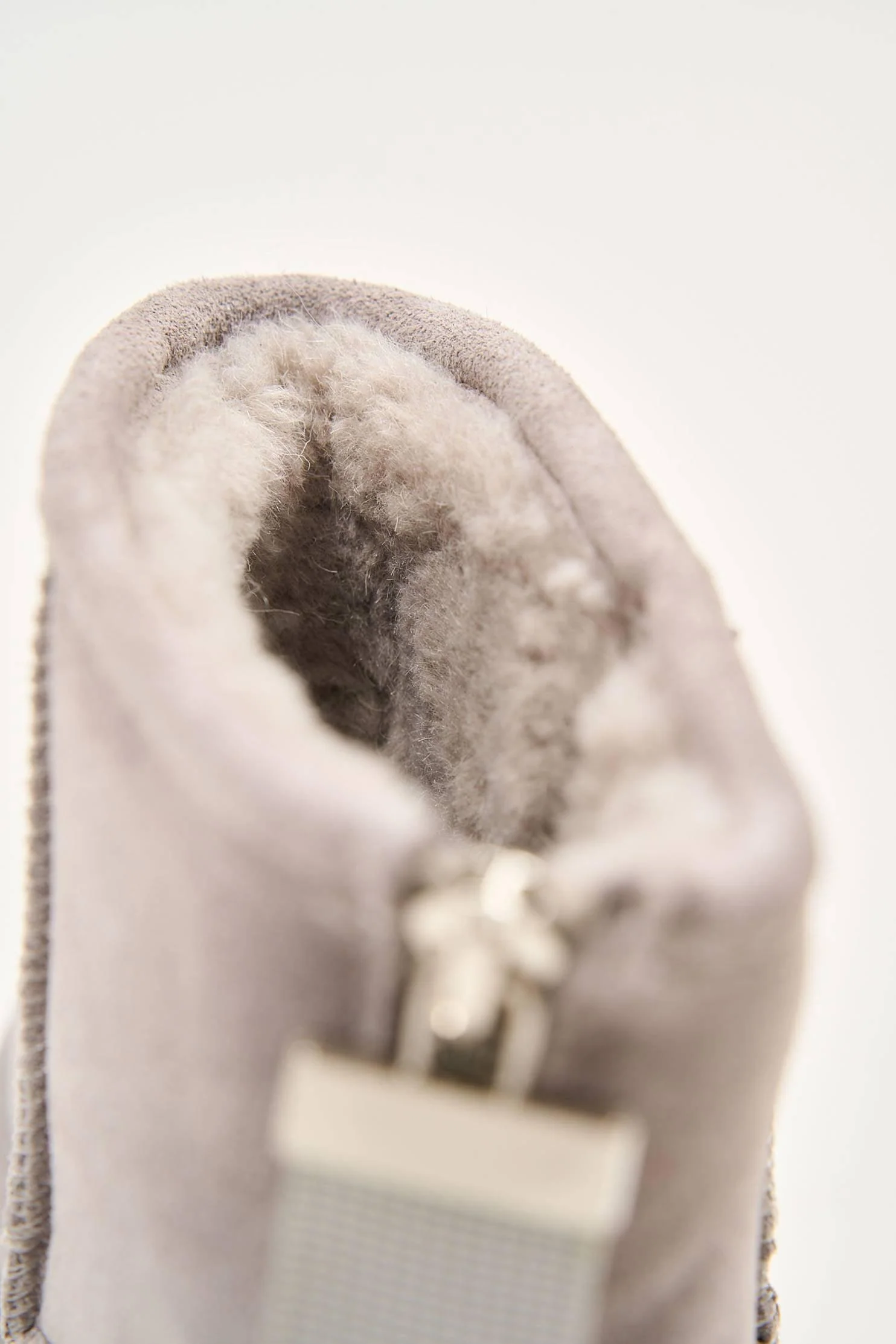 Silver Bear - Image 12