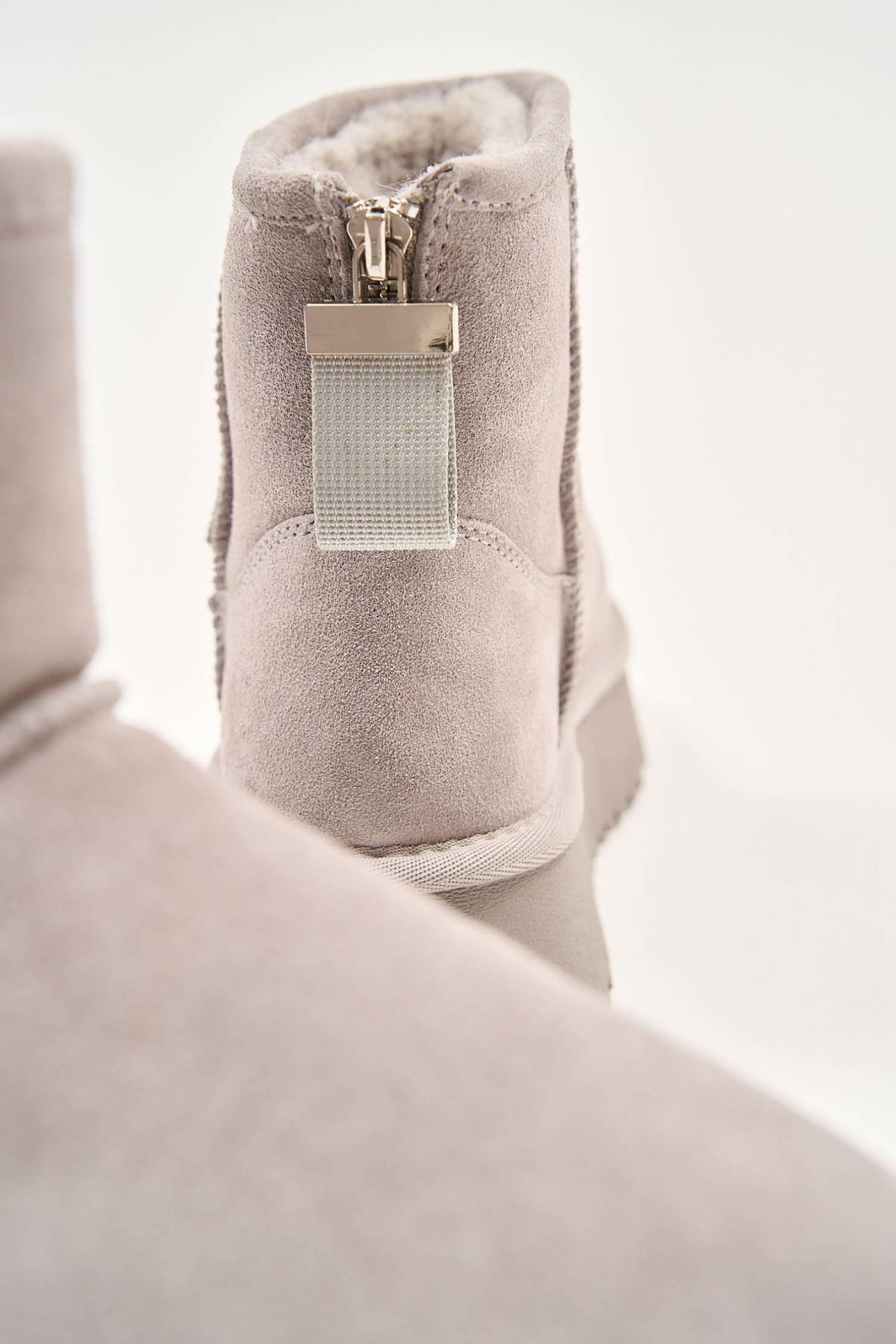 Silver Bear - Image 14