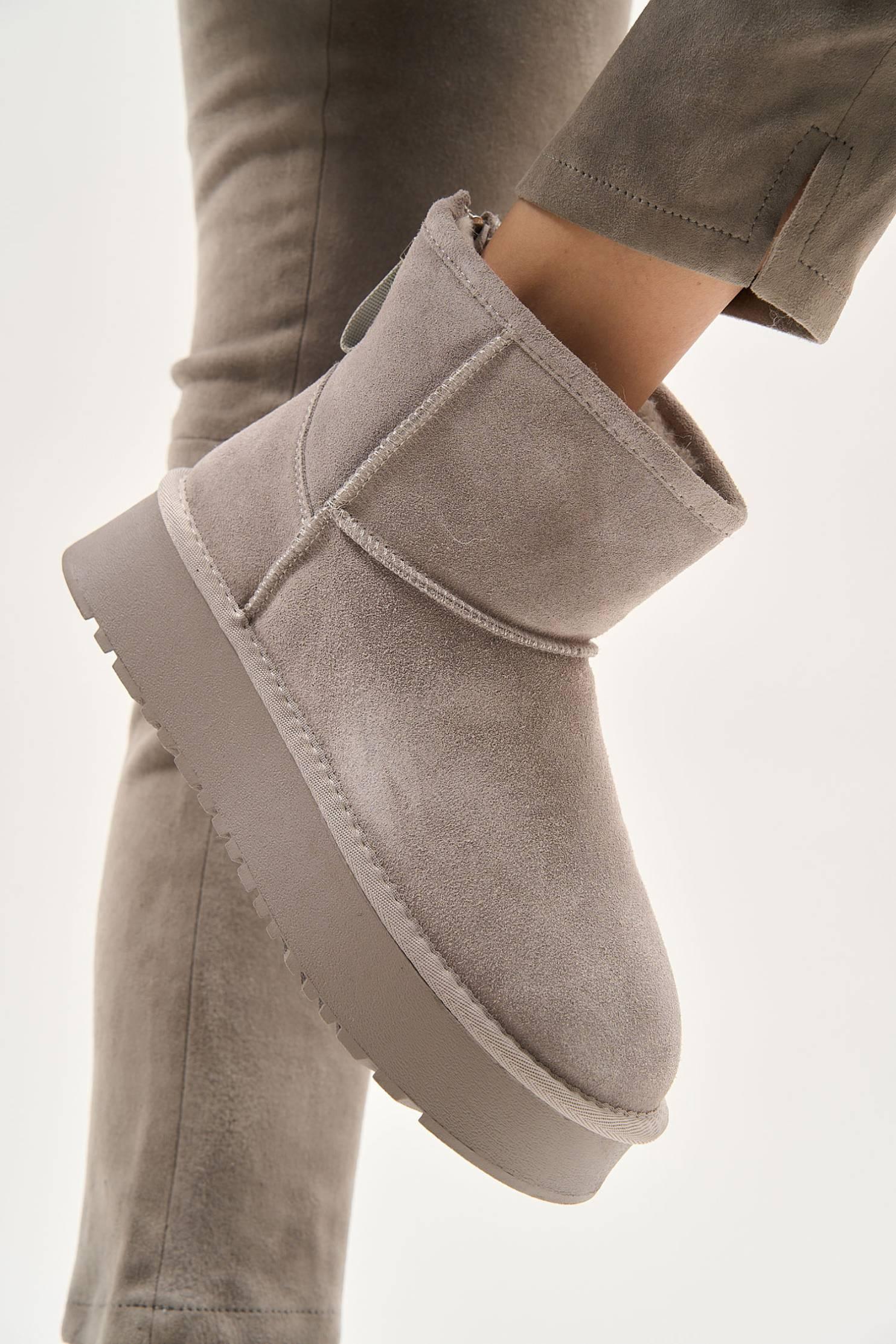 Silver Bear - Image 5