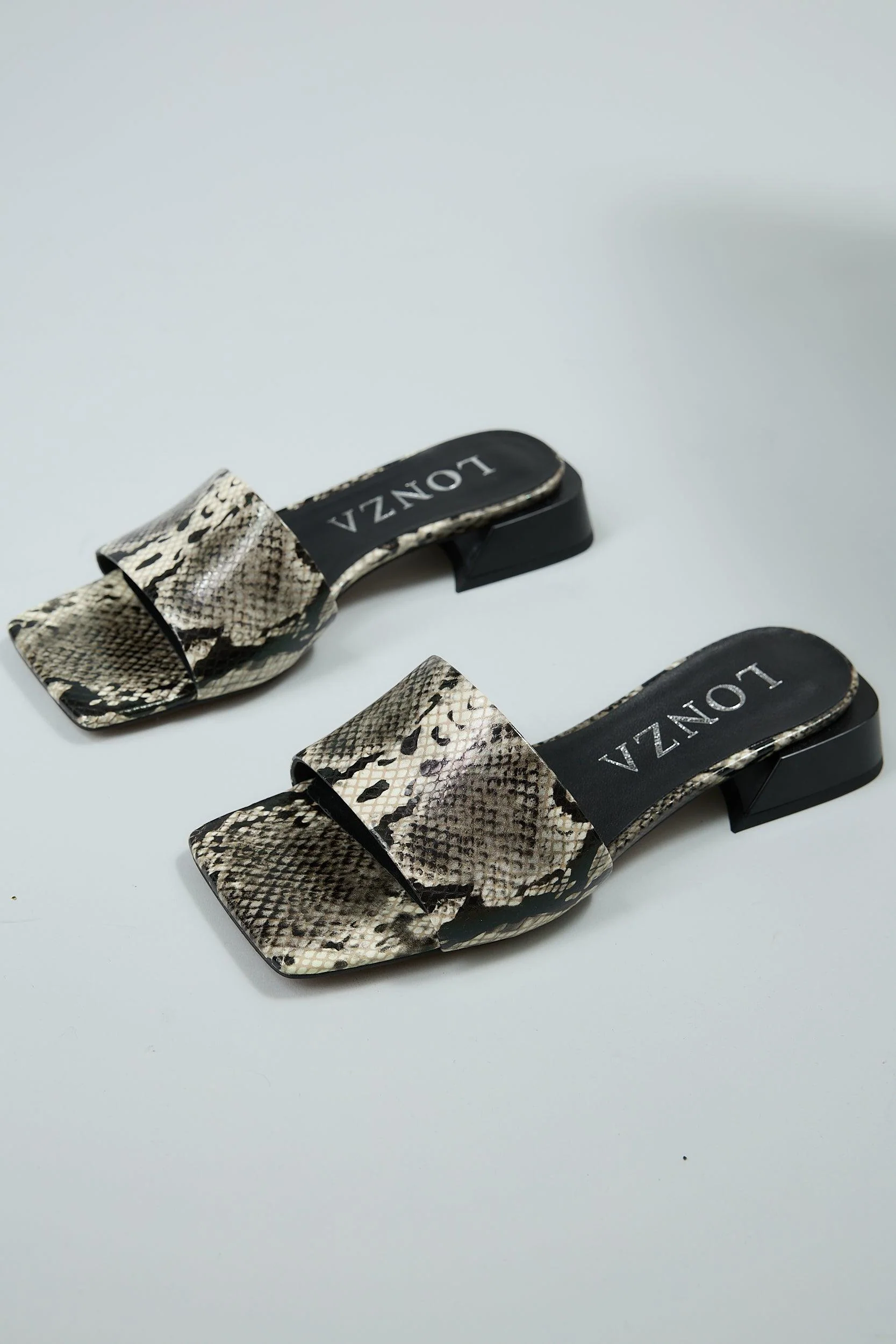 Snake Black - Image 12
