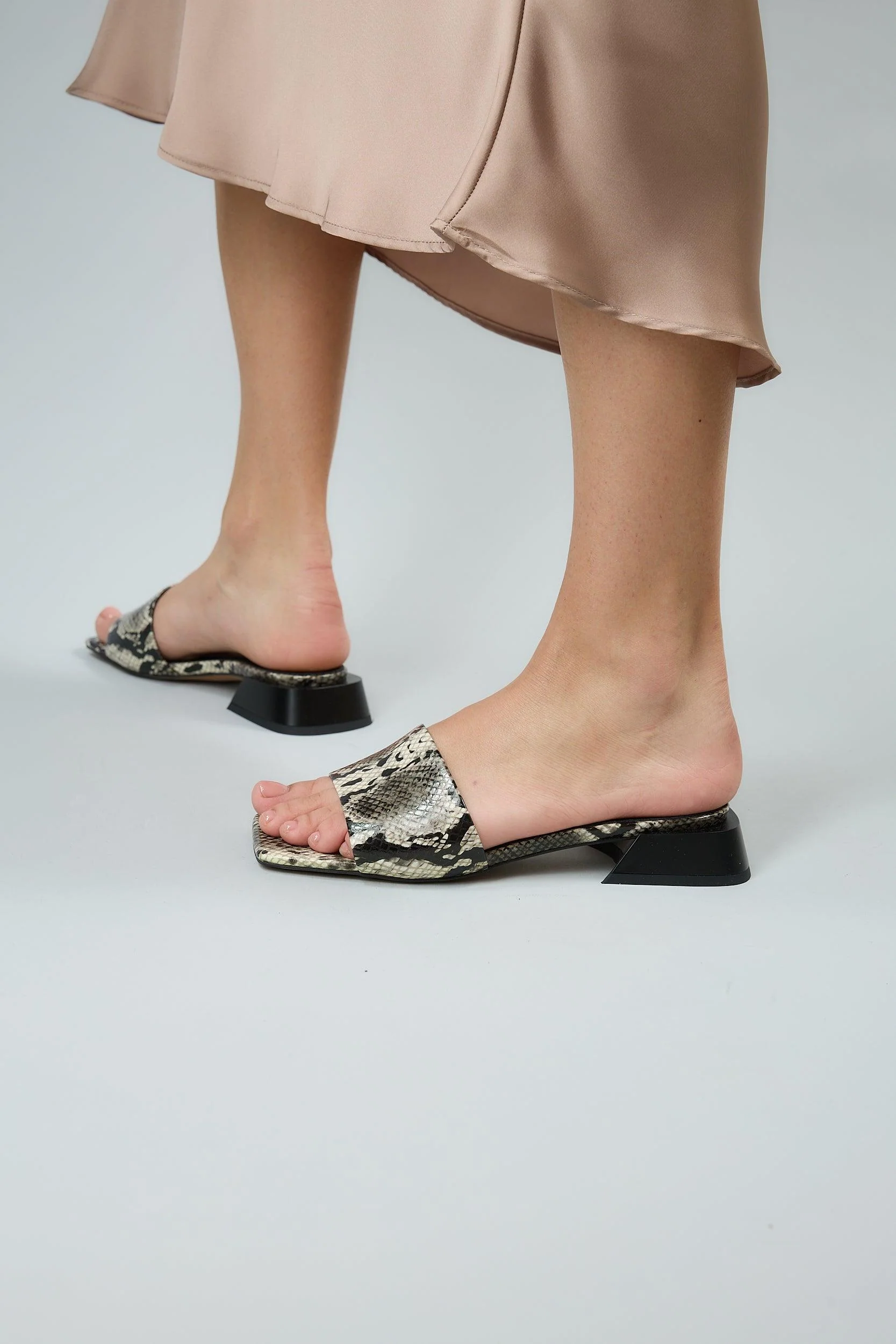 Snake Black - Image 4
